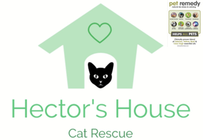 Hector's House Cat Rescue